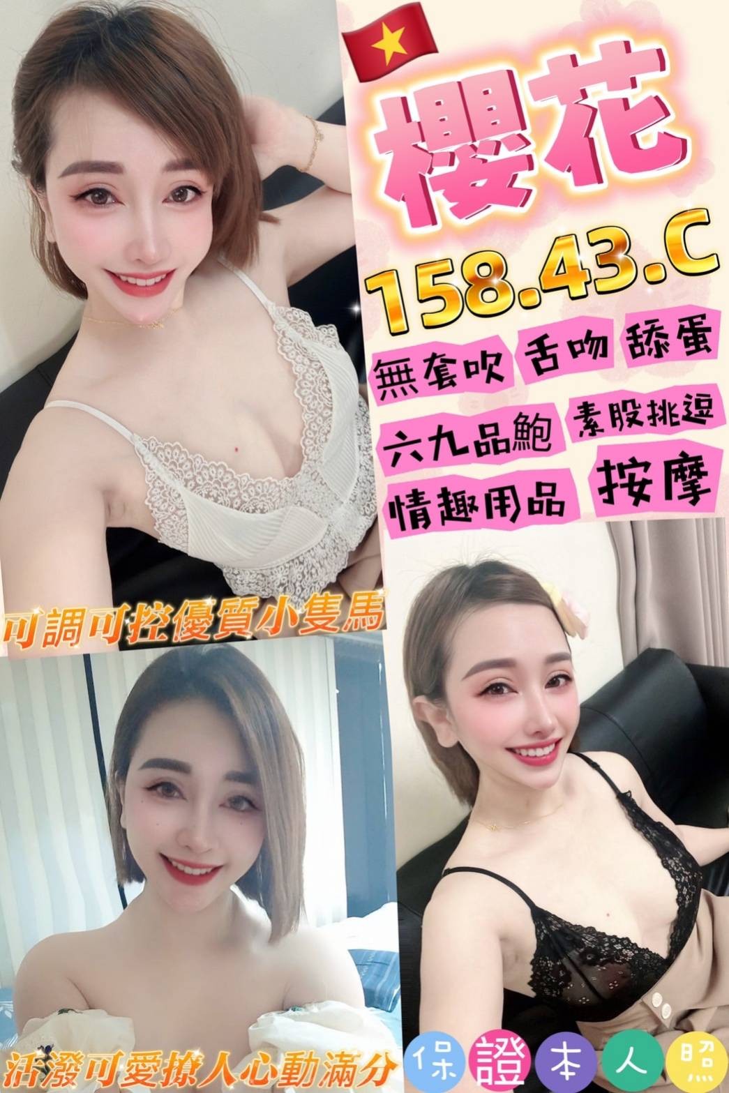 越南桃園櫻花定點圖片