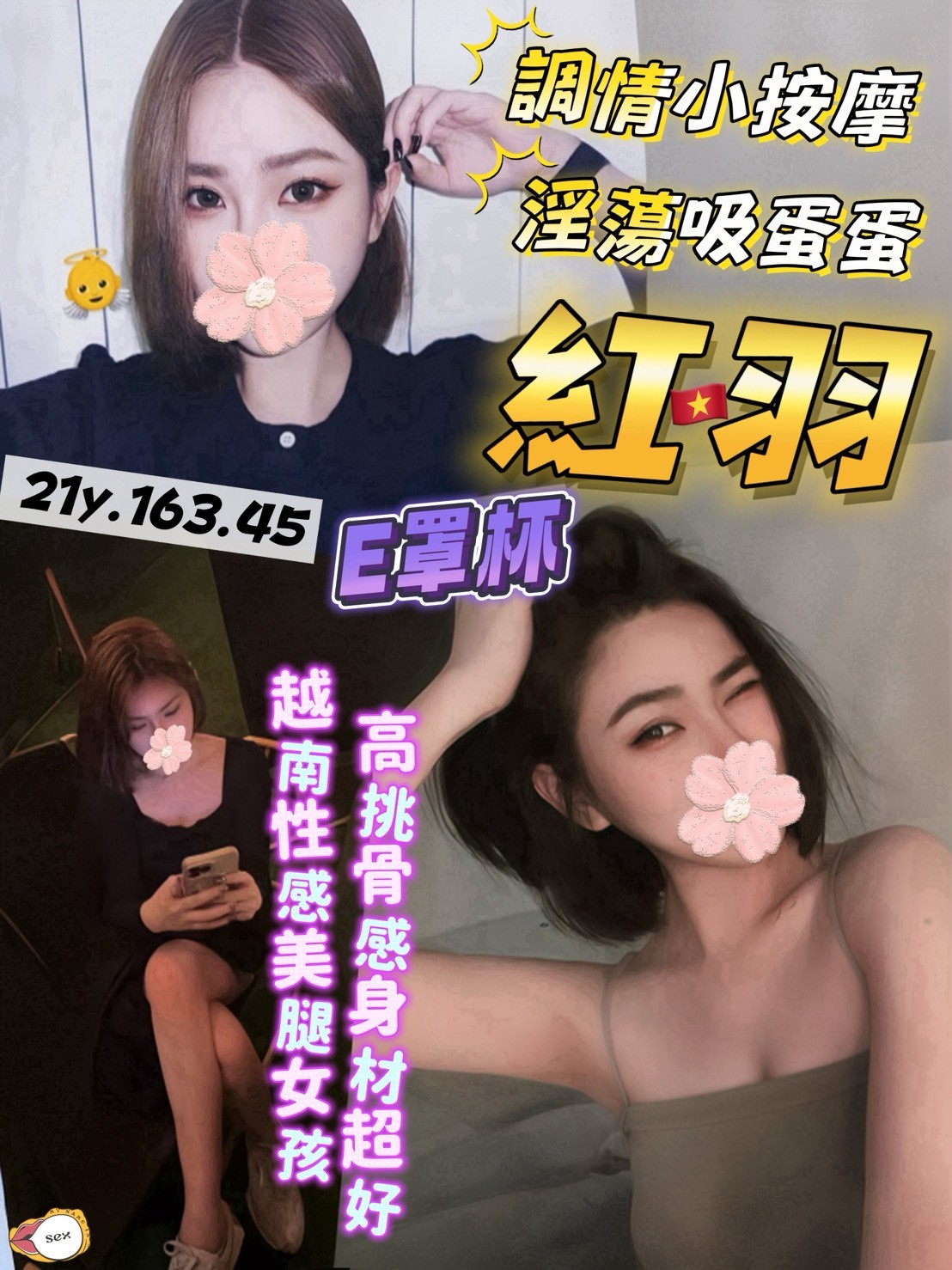 越南桃園紅羽定點圖片