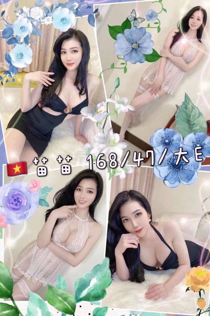 越南桃園苗苗定點圖片