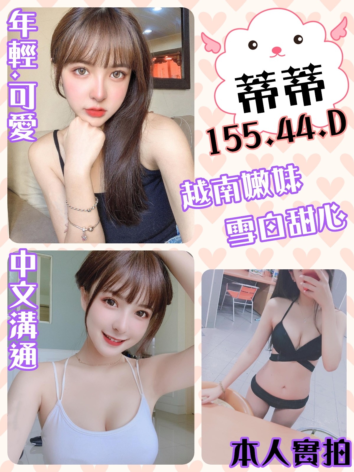 越南桃園蒂蒂定點圖片