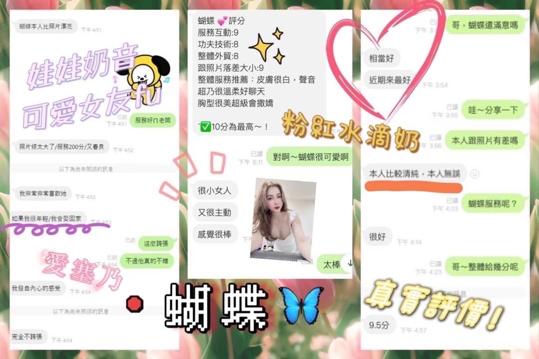 越南桃園蝴蝶定點圖片