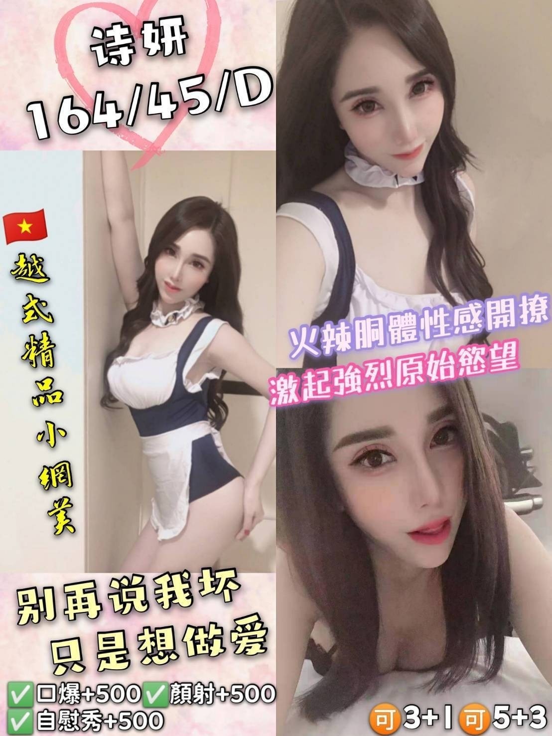 越南桃園詩妍定點圖片