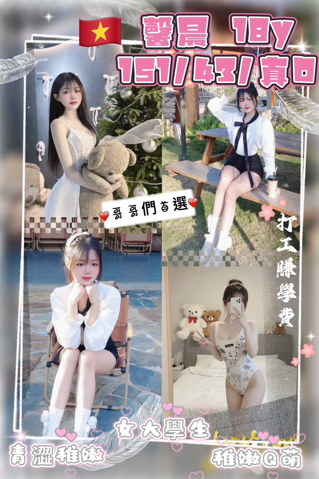 越南桃園馨晨定點圖片