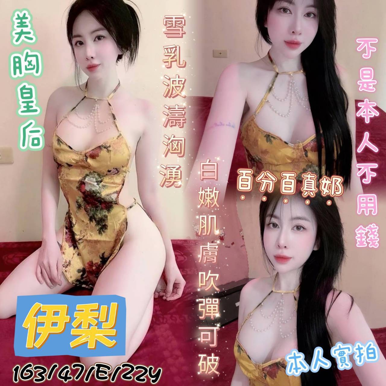越南高雄伊梨定點圖片