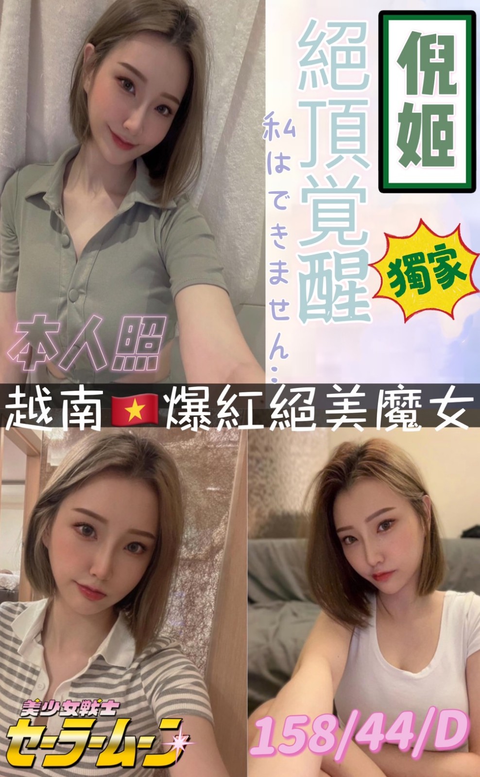 越南高雄倪姬定點圖片