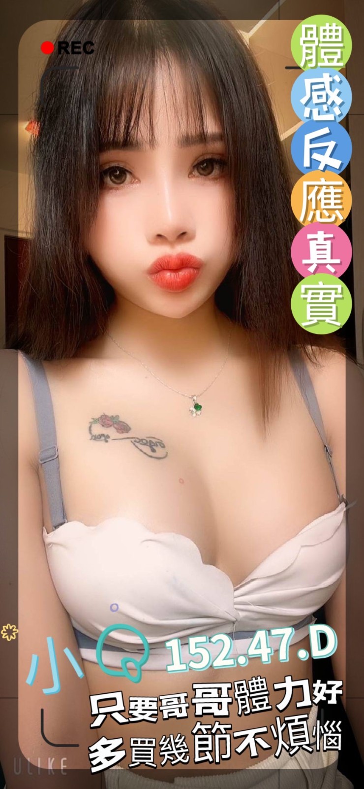 越南高雄小Q定點圖片