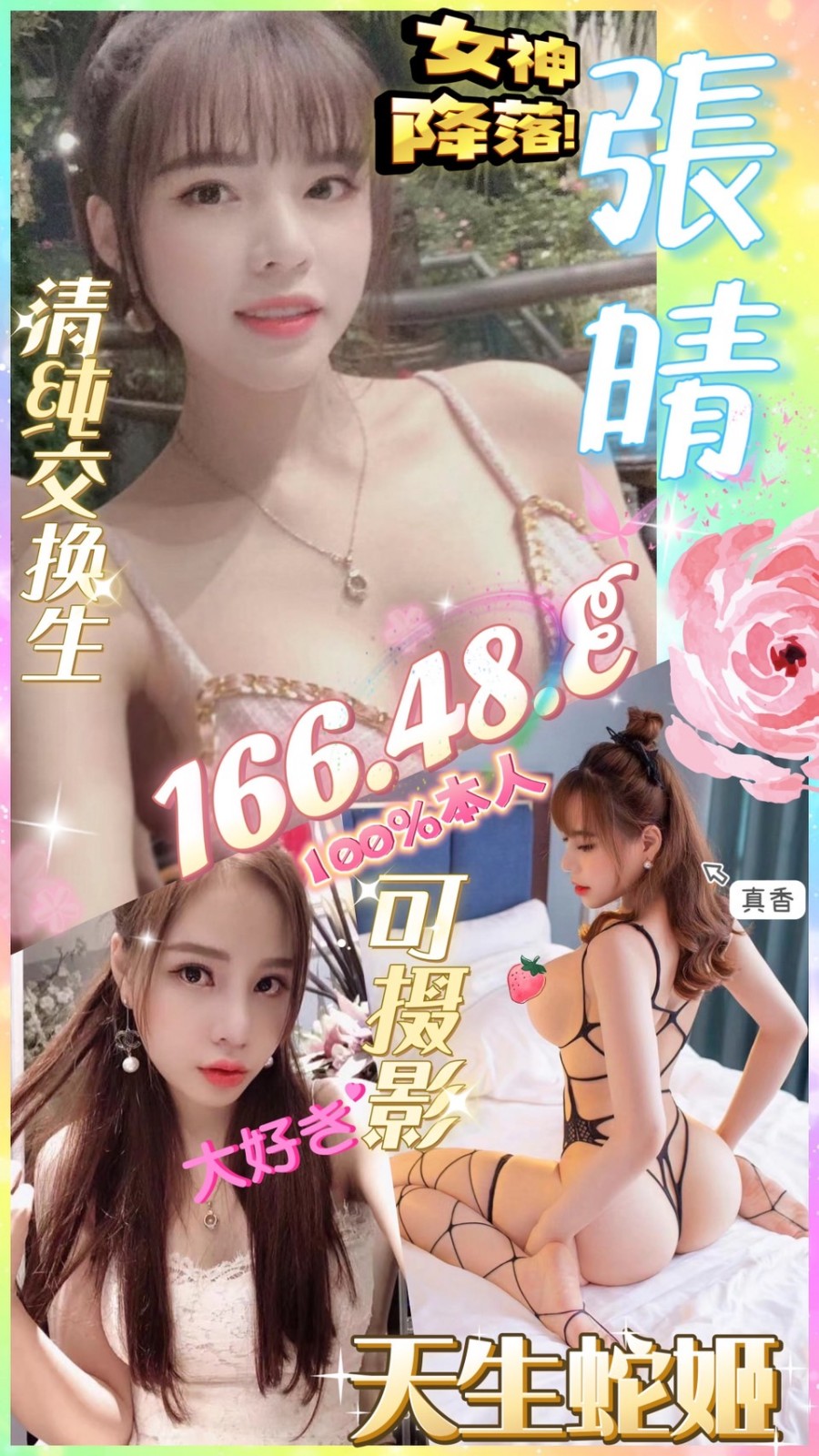 越南高雄張晴定點圖片