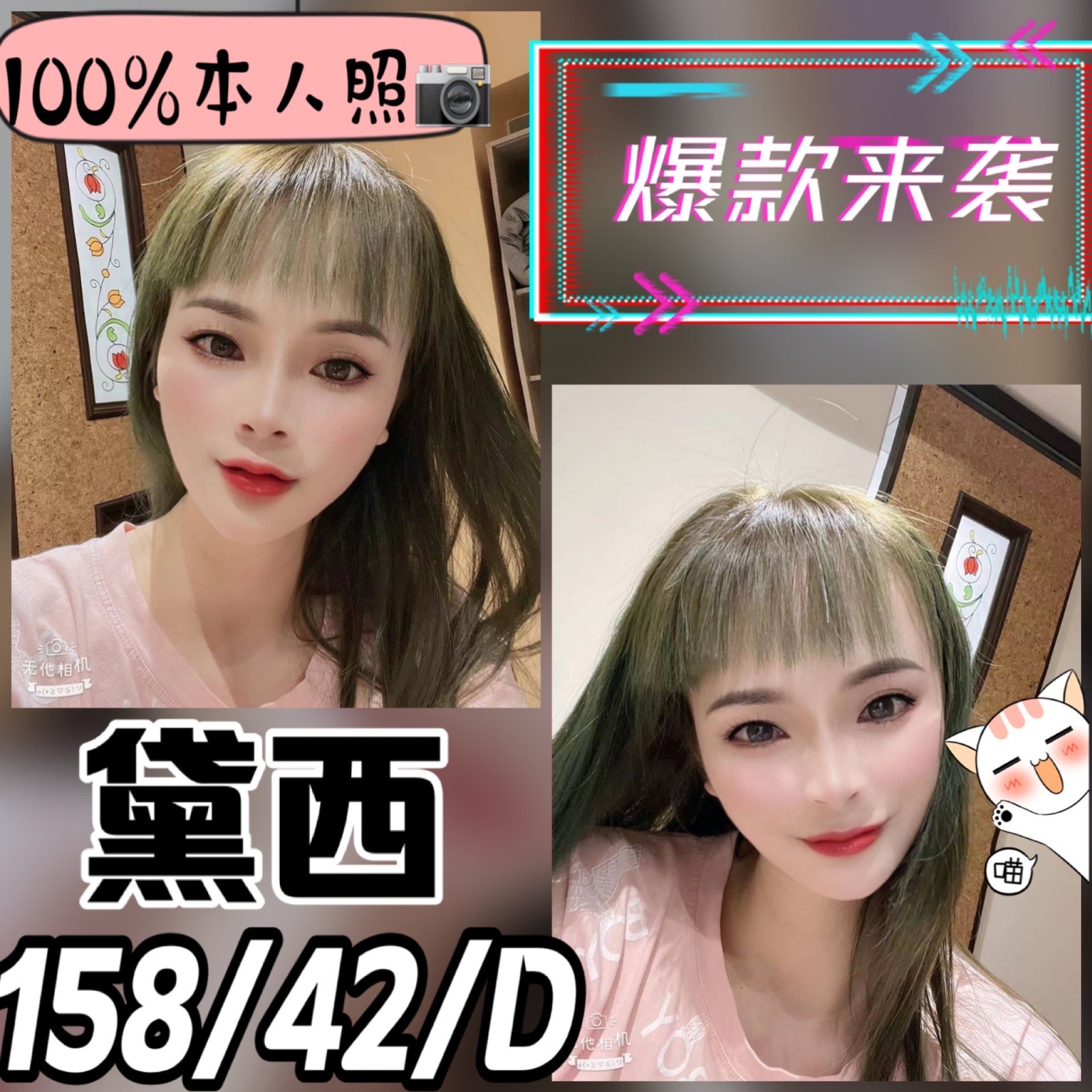 越南高雄黛西定點圖片