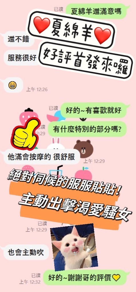 馬來西亞台中夏綿羊定點圖片
