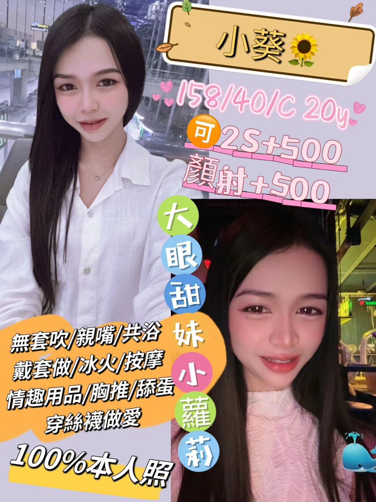 馬來西亞台中小葵定點圖片