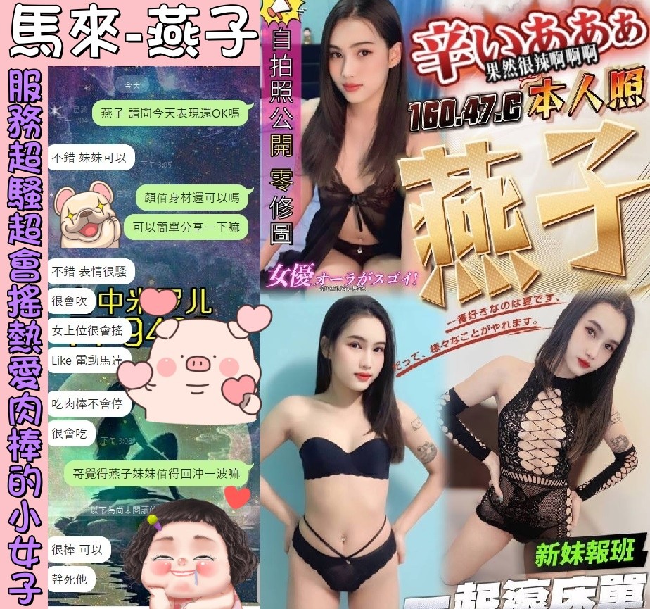 馬來西亞台中燕子定點圖片