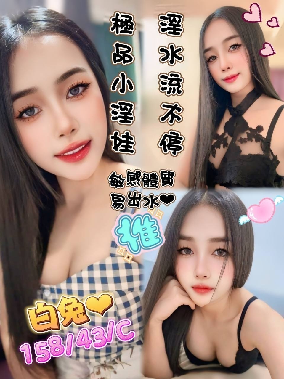馬來西亞台中白兔定點圖片