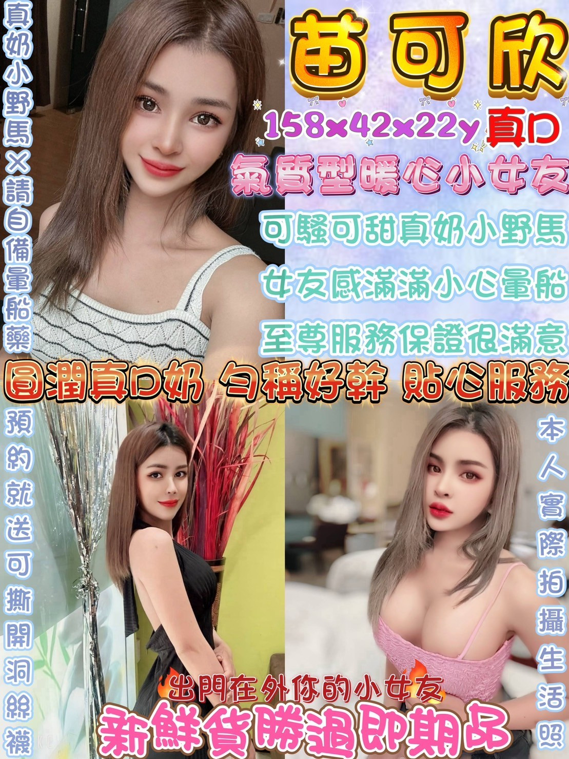 馬來西亞台中苗可欣定點圖片