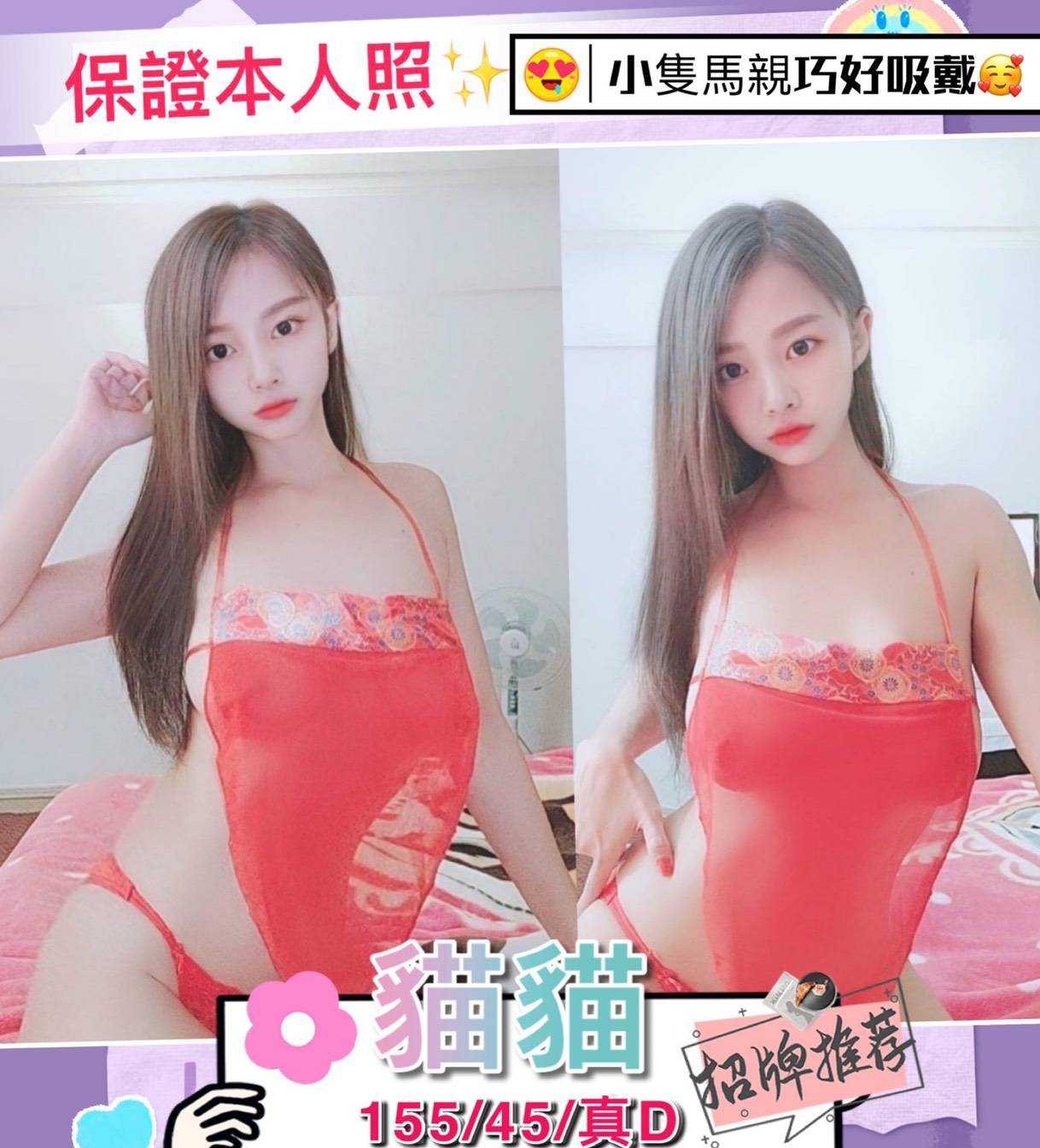 馬來西亞台中貓貓定點圖片