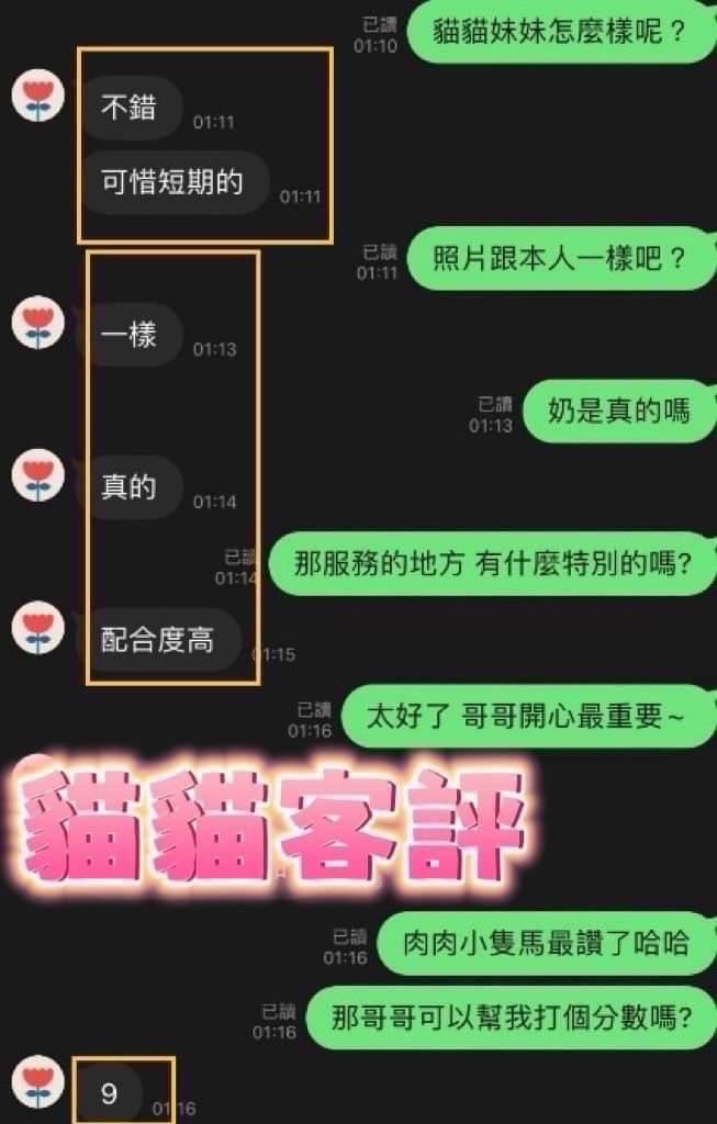 馬來西亞台中貓貓定點圖片