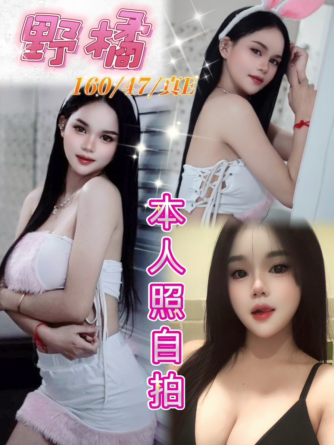 馬來西亞台中野橘定點圖片