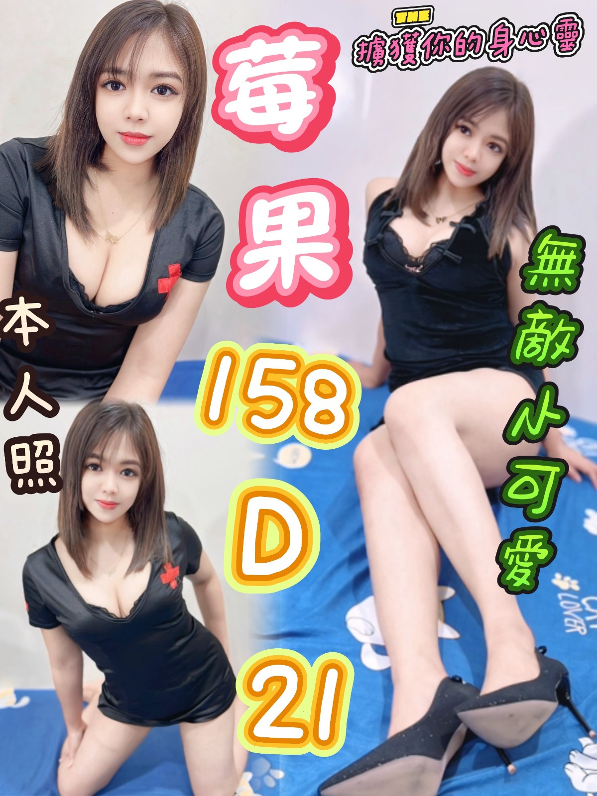 馬來西亞台北莓果定點圖片