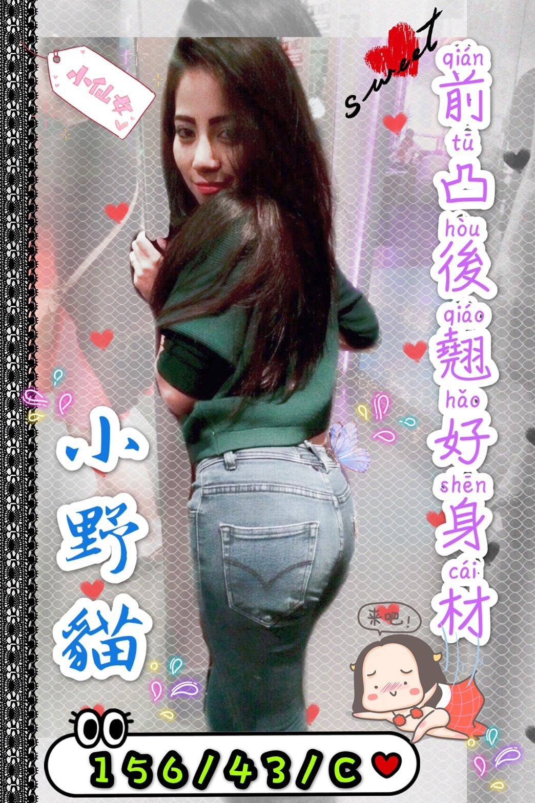 馬來西亞台南小野貓定點圖片