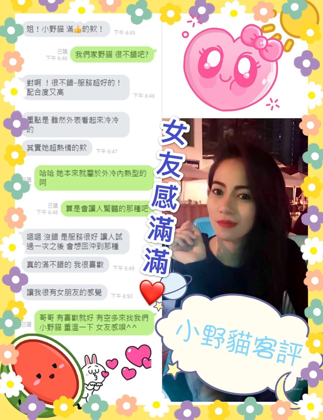 馬來西亞台南小野貓定點圖片