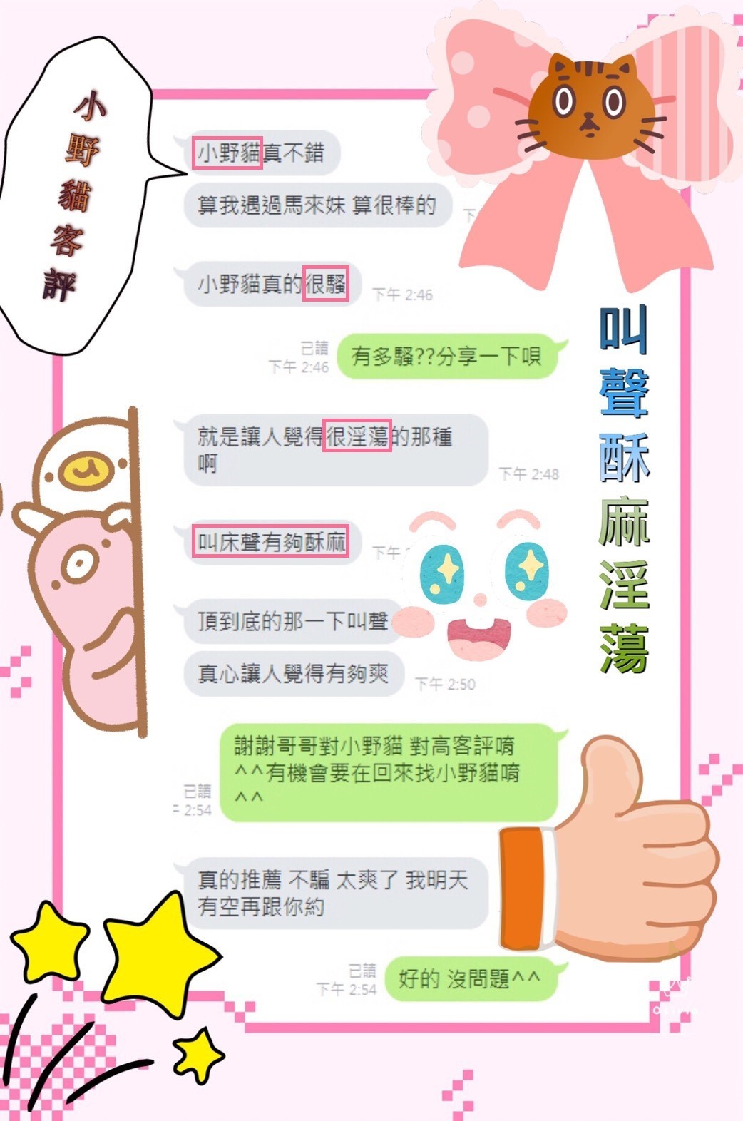馬來西亞台南小野貓定點圖片