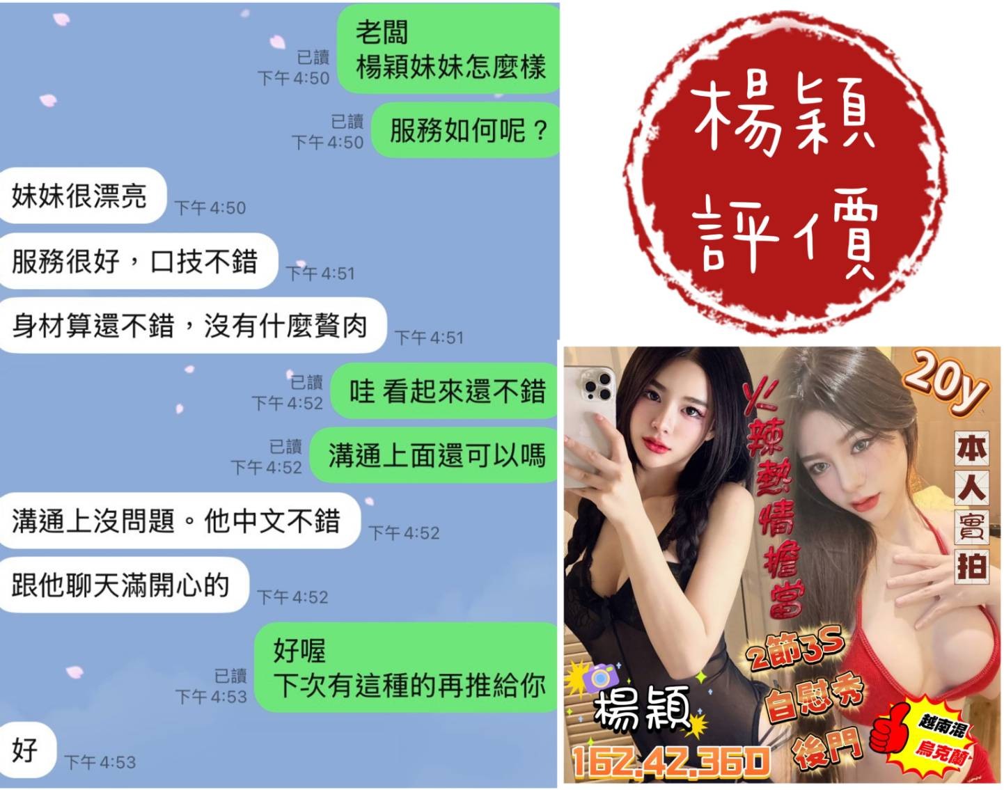 馬來西亞台南楊穎定點圖片