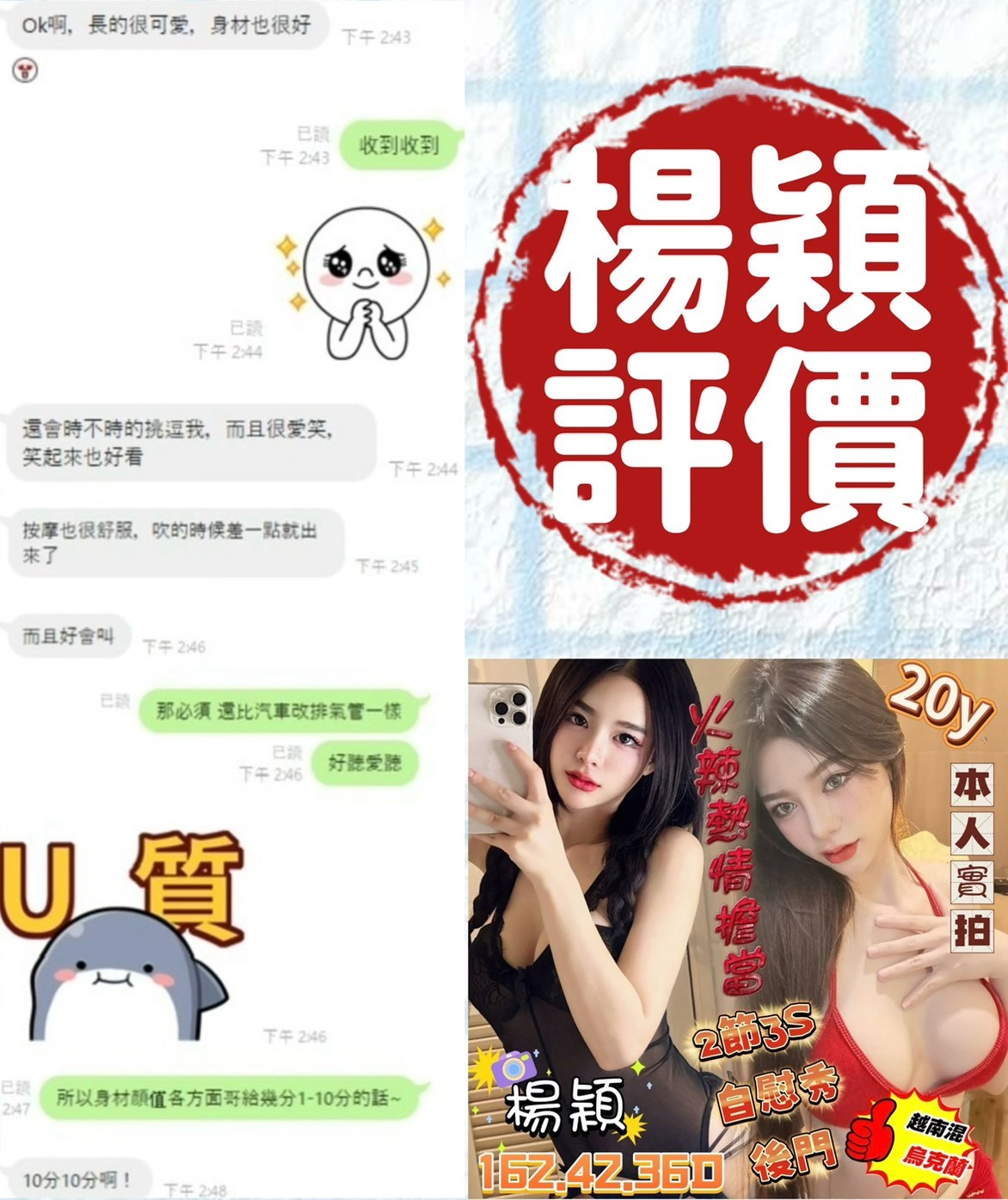 馬來西亞台南楊穎定點圖片