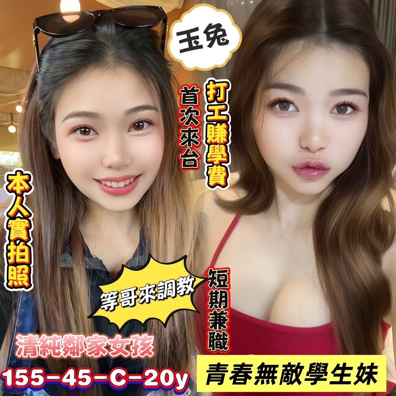 馬來西亞台南玉兔定點圖片