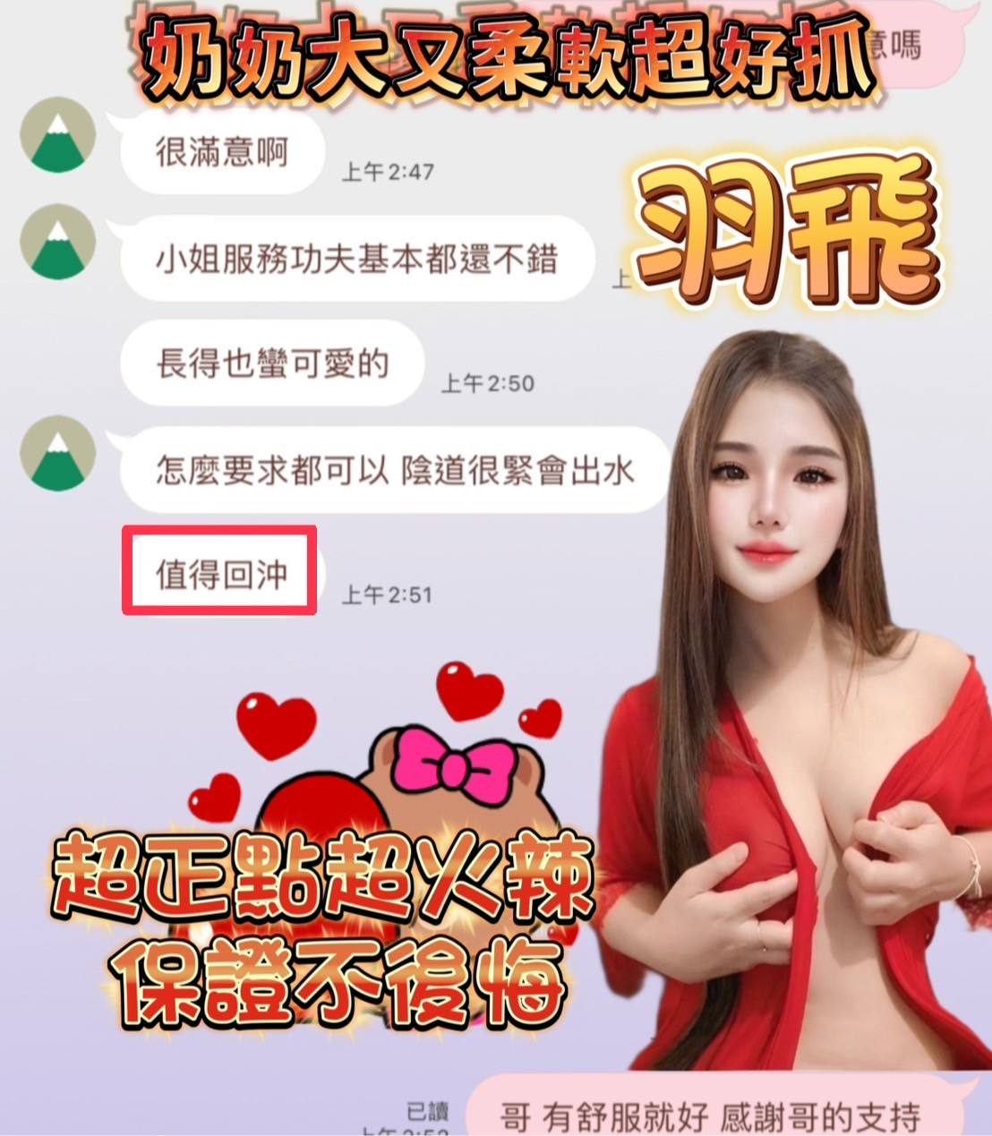馬來西亞台南羽飛定點圖片