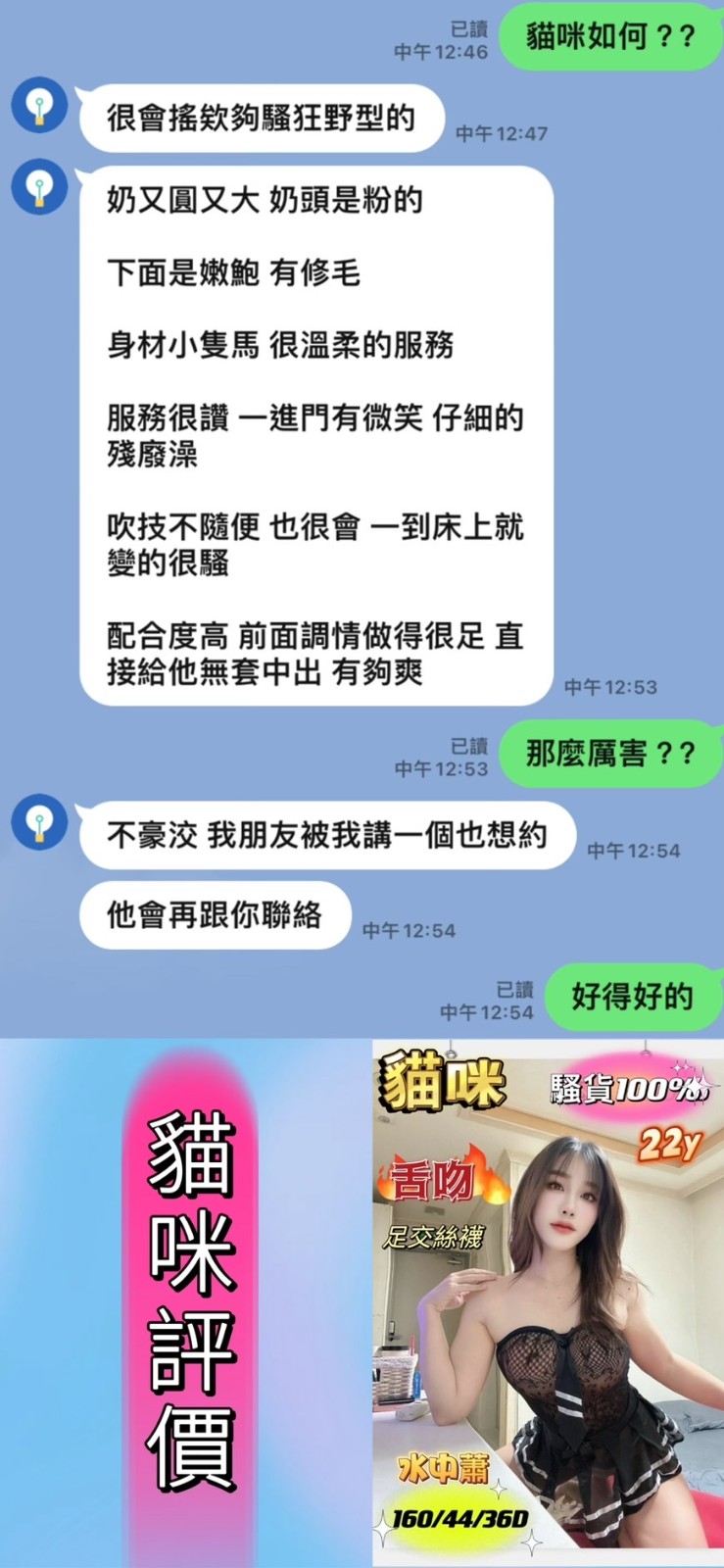 馬來西亞台南貓咪定點圖片