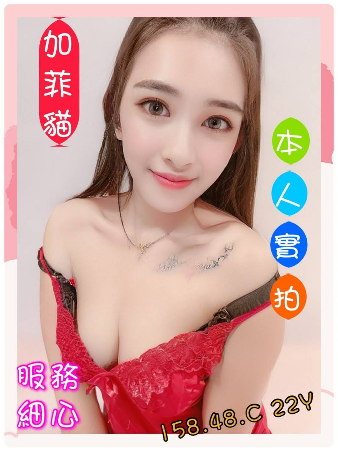 馬來西亞嘉義加菲貓定點圖片