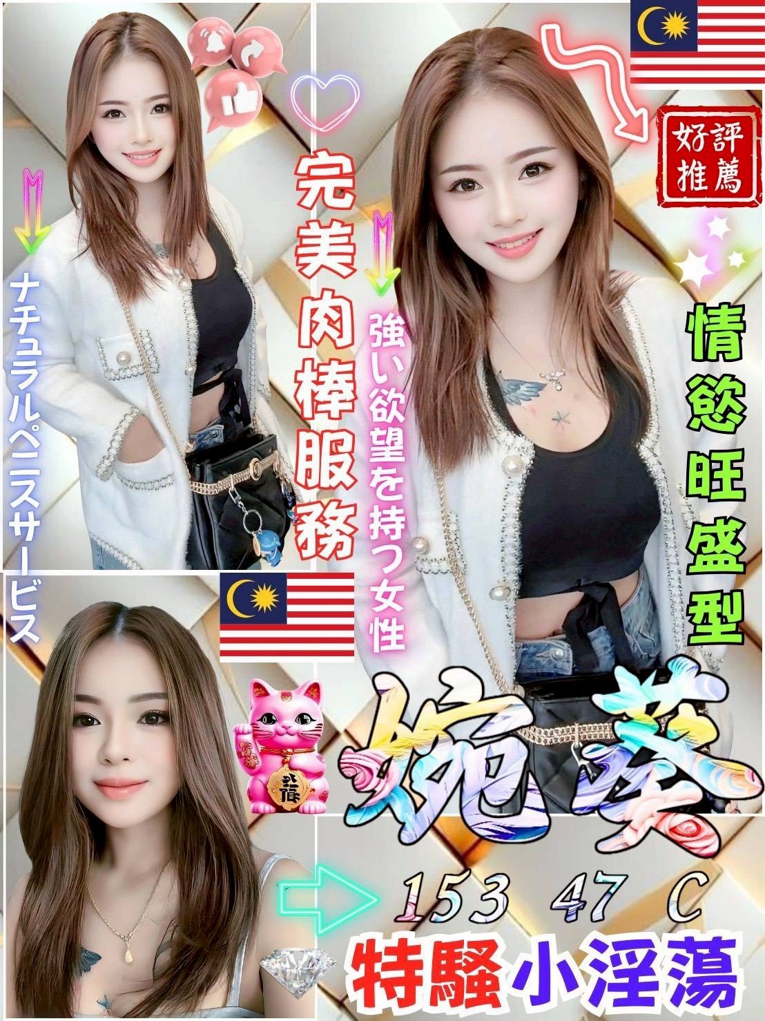 馬來西亞嘉義婉葵定點圖片