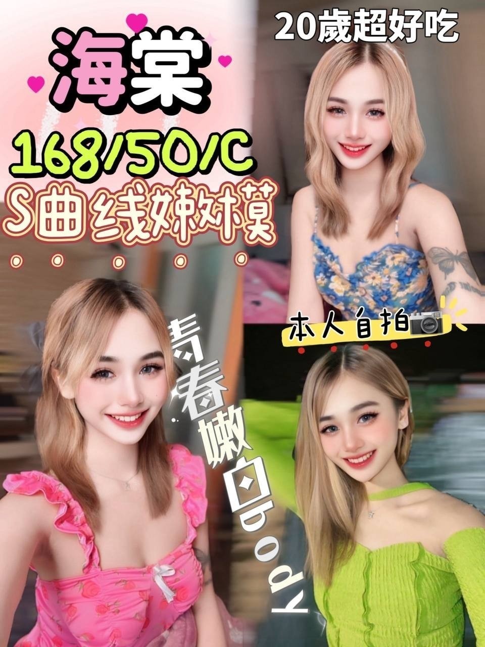 馬來西亞嘉義海棠定點圖片