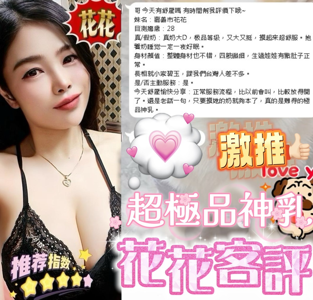 馬來西亞嘉義花花定點圖片