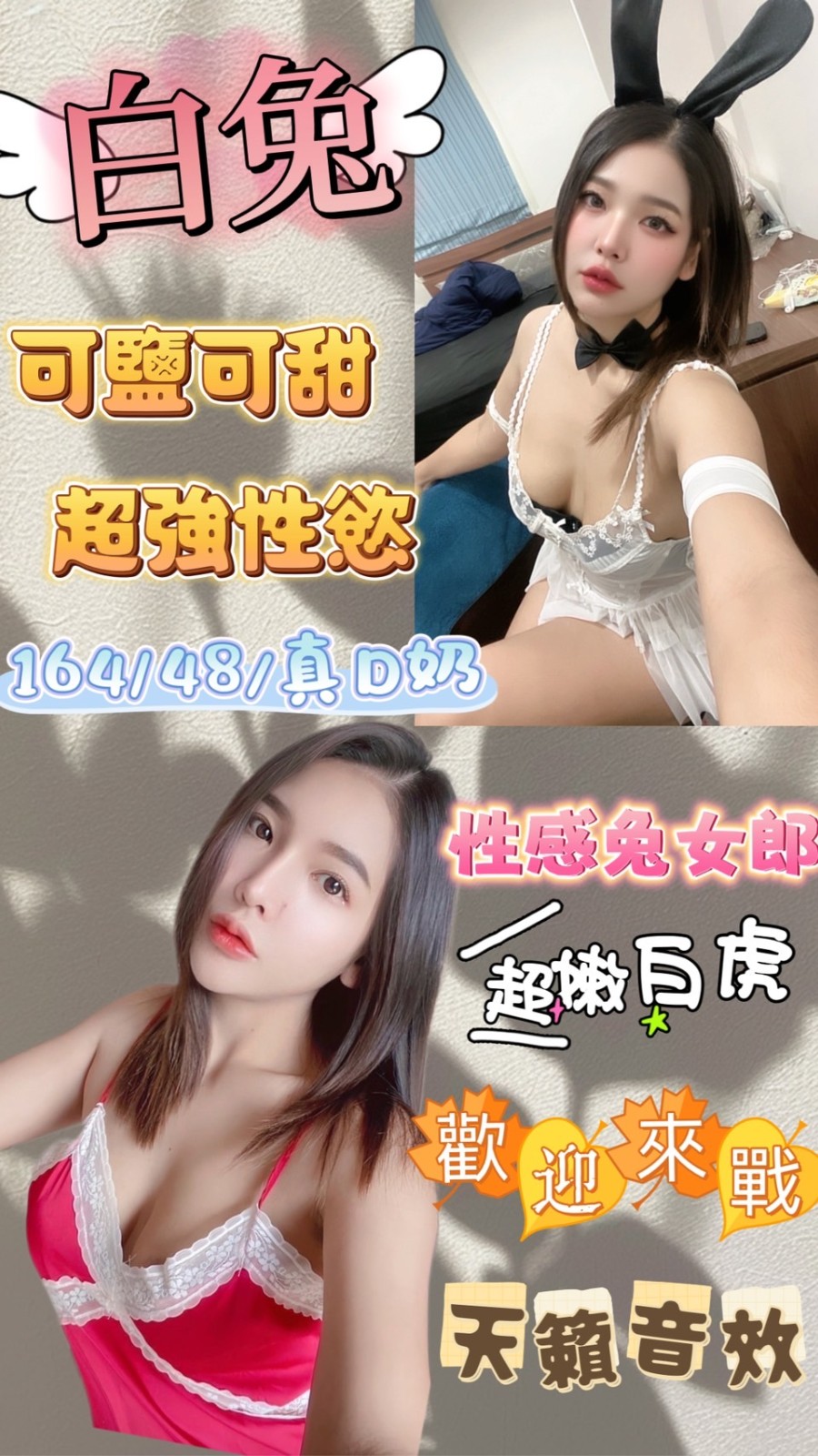 馬來西亞基隆白兔定點圖片