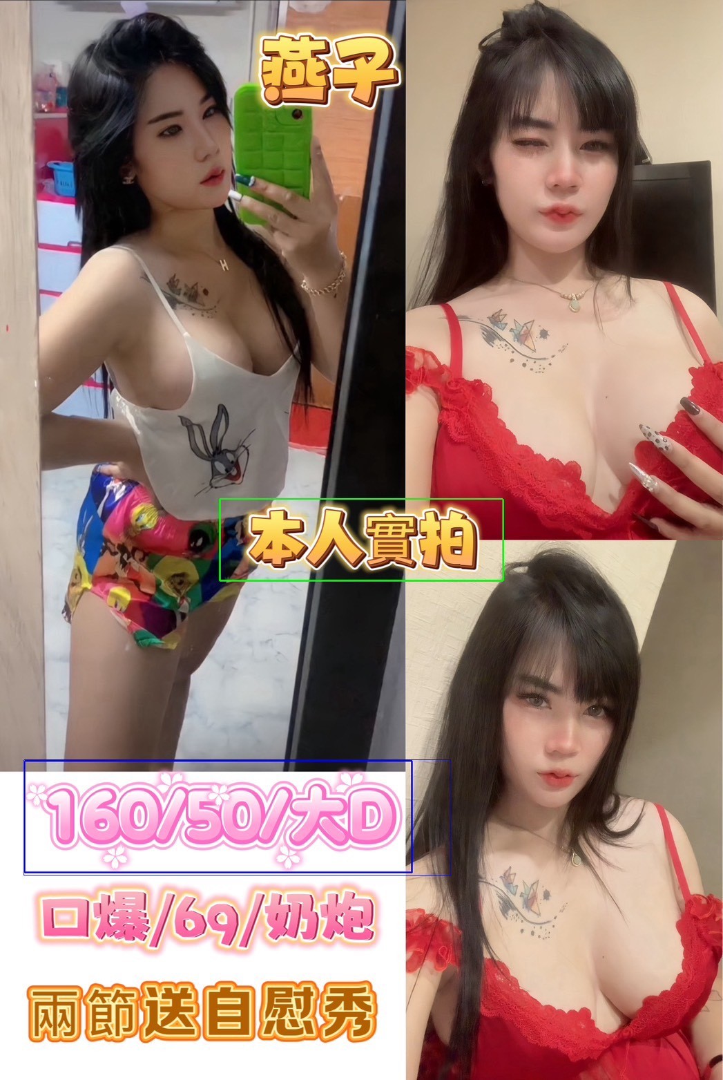 馬來西亞屏東燕子定點圖片