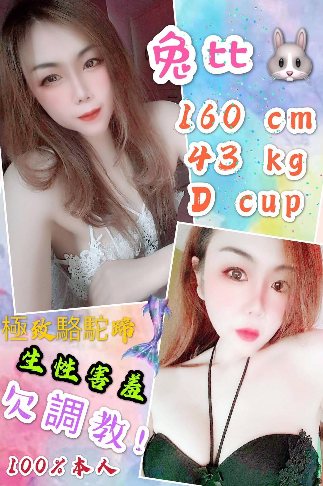 馬來西亞彰化兔比定點圖片