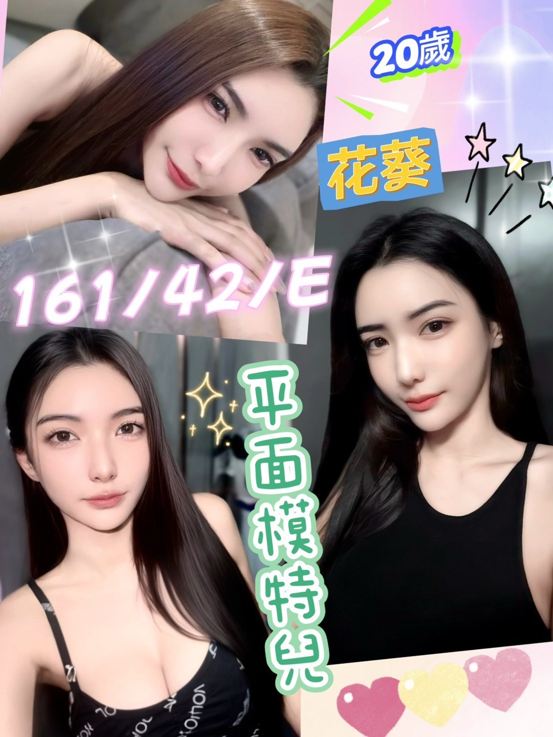 馬來西亞彰化花葵定點圖片