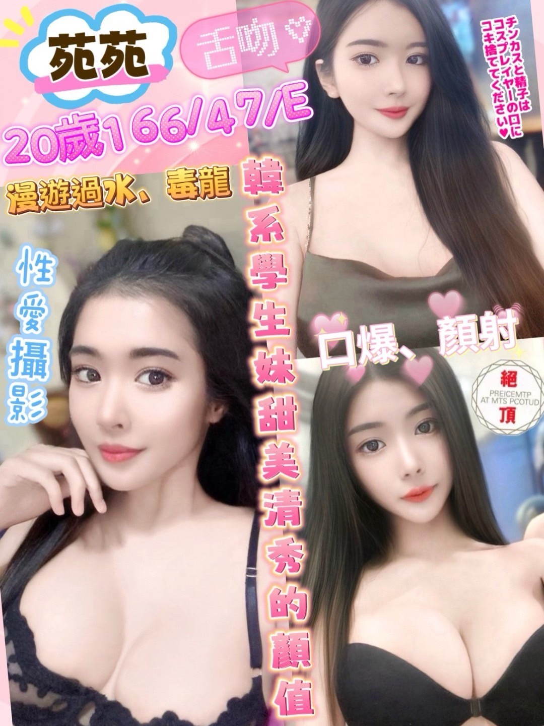 馬來西亞彰化苑苑定點圖片