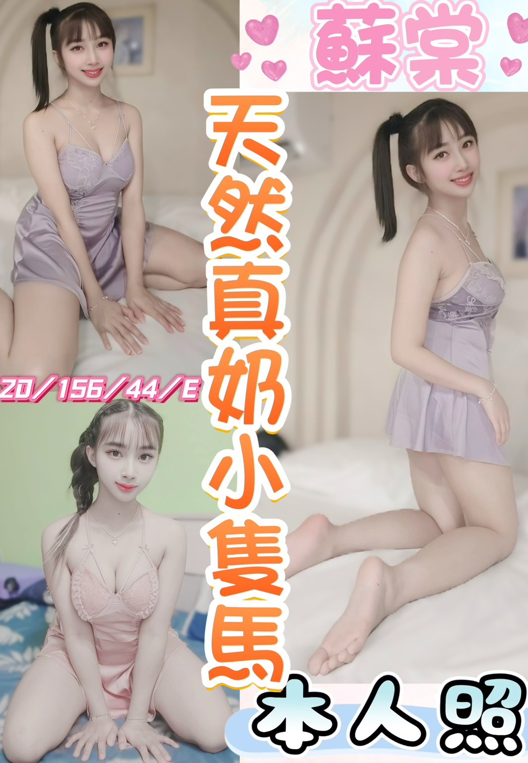 馬來西亞彰化蘇棠定點圖片