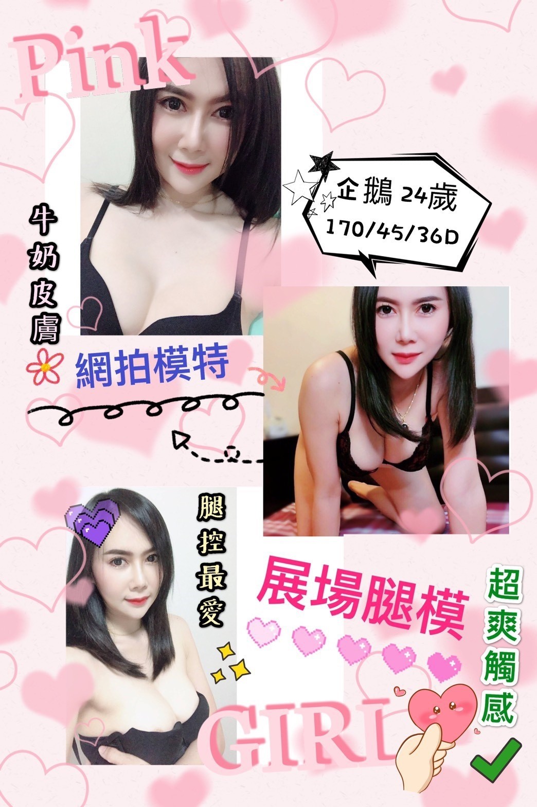 馬來西亞新竹企鵝定點圖片