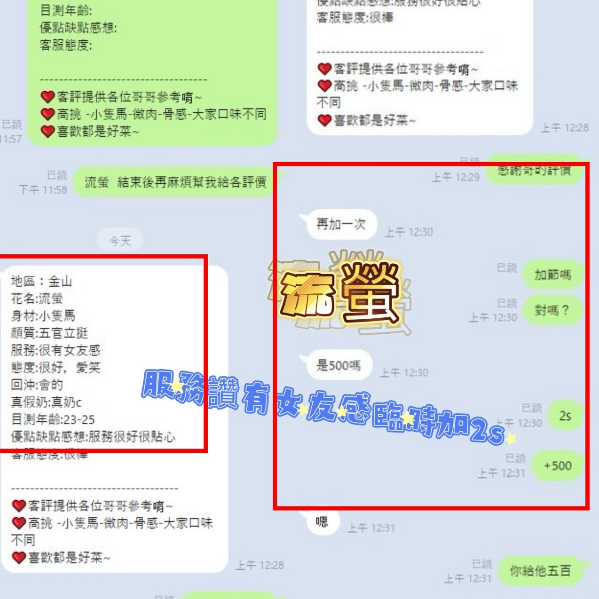 馬來西亞新竹流螢定點圖片