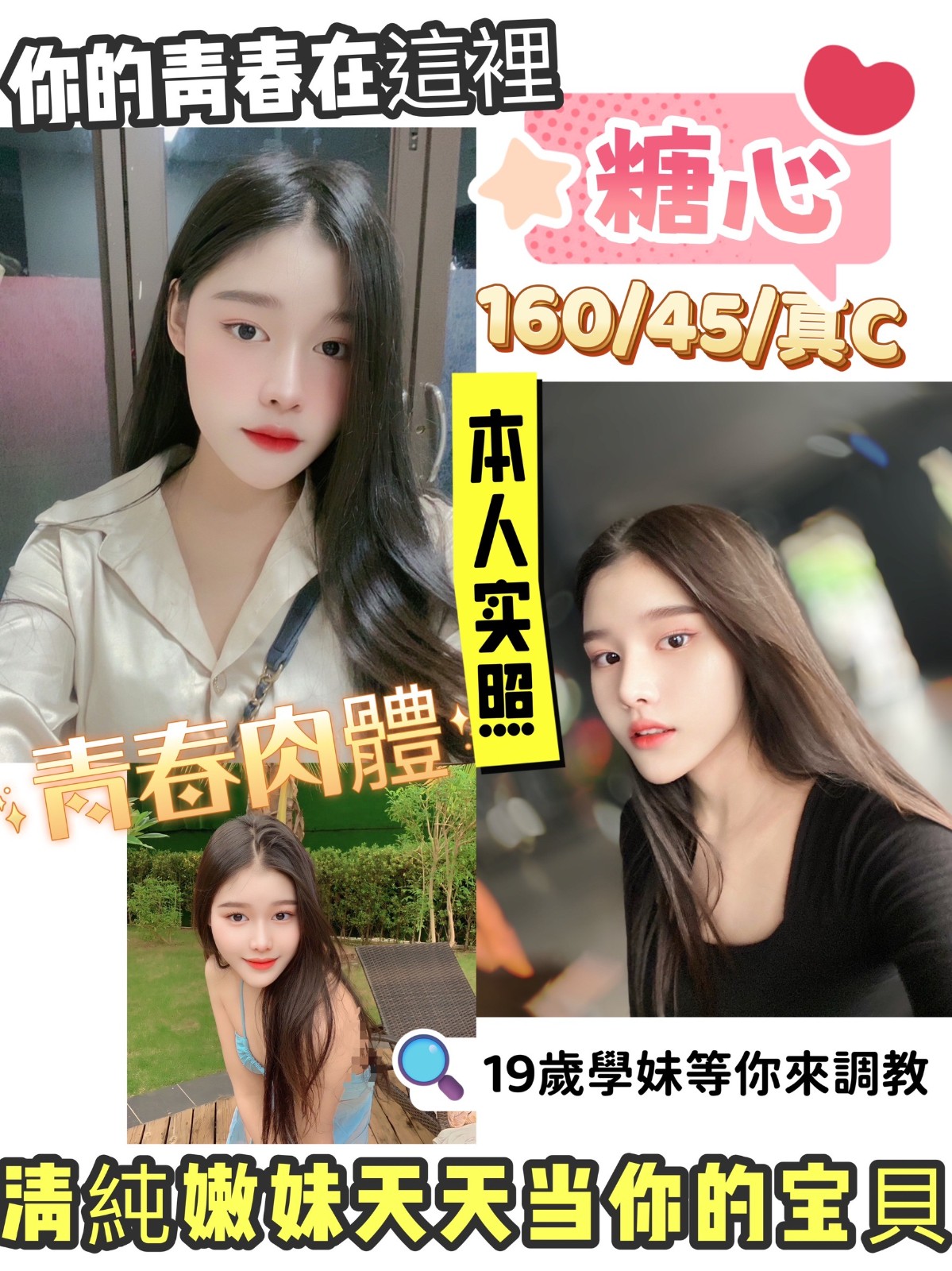 馬來西亞新竹糖心定點圖片
