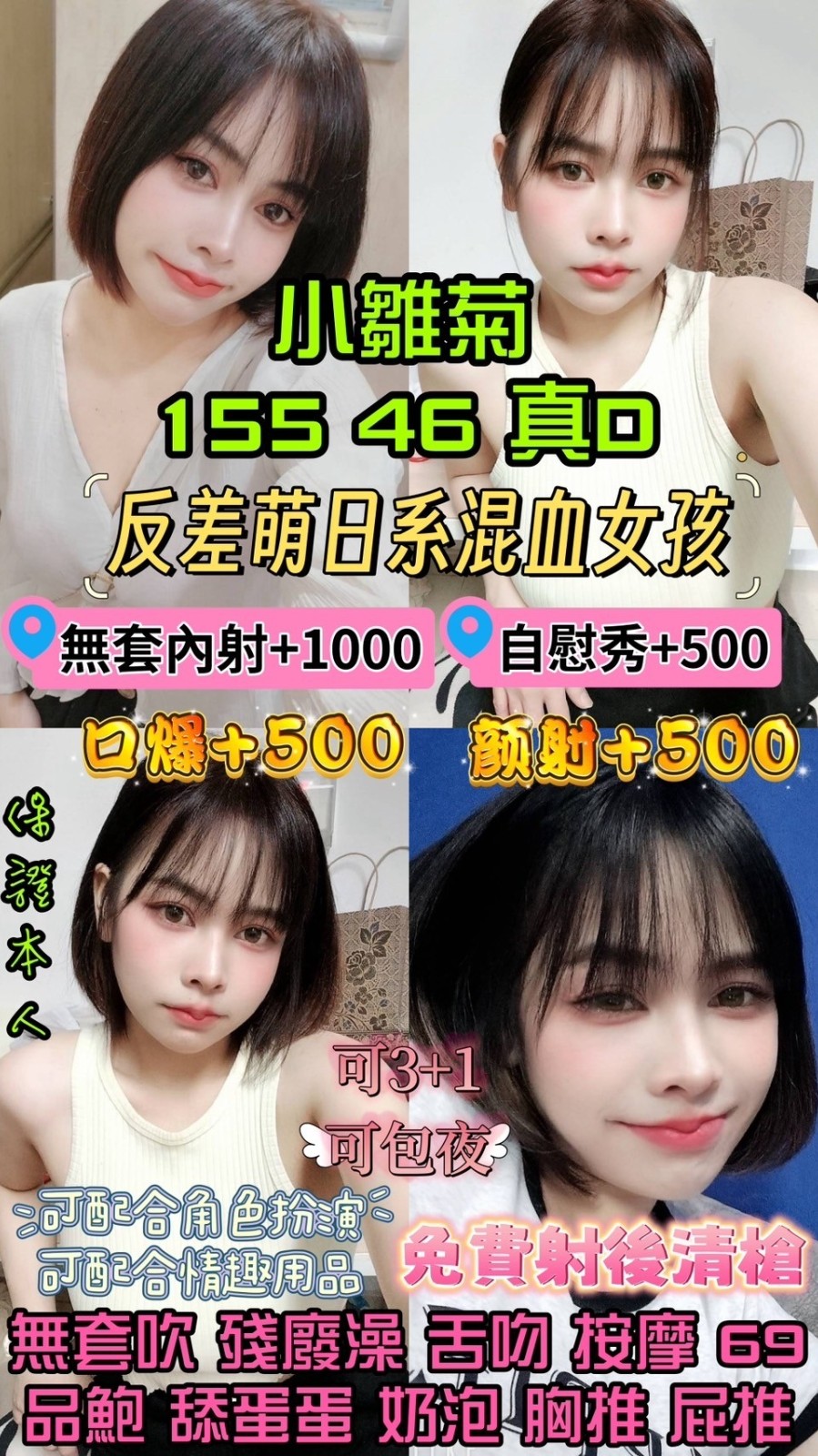 馬來西亞桃園小雛菊定點圖片