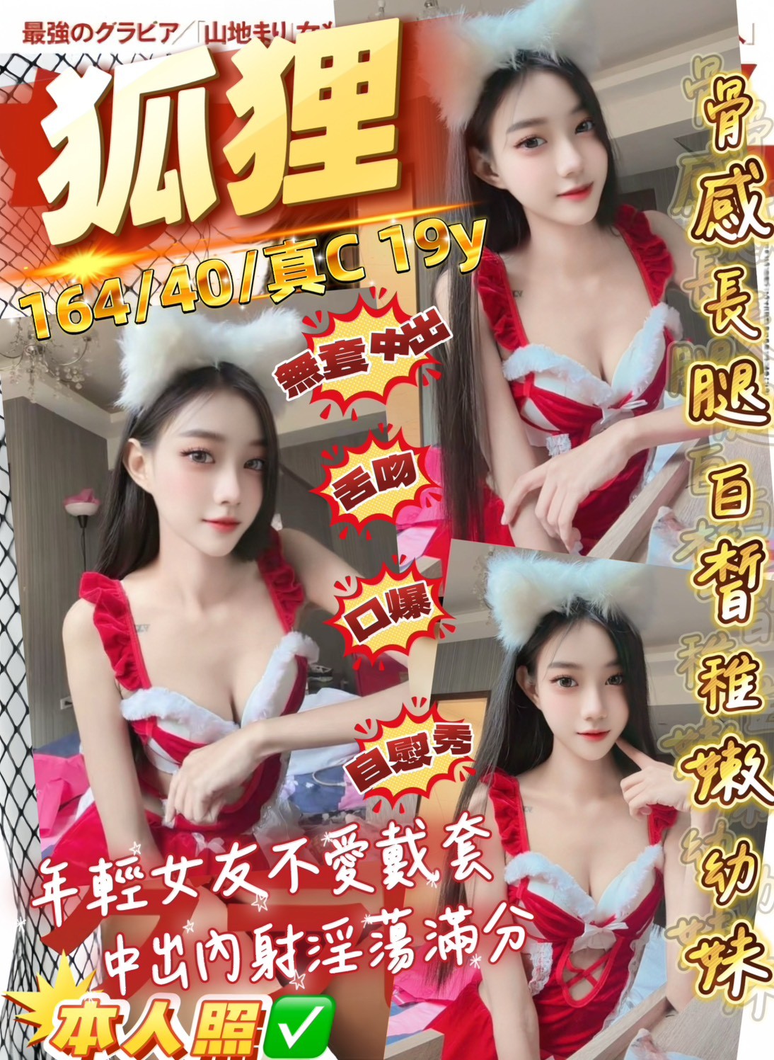 馬來西亞桃園狐狸定點圖片