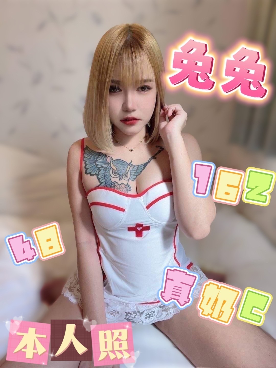馬來西亞雲林兔兔定點圖片
