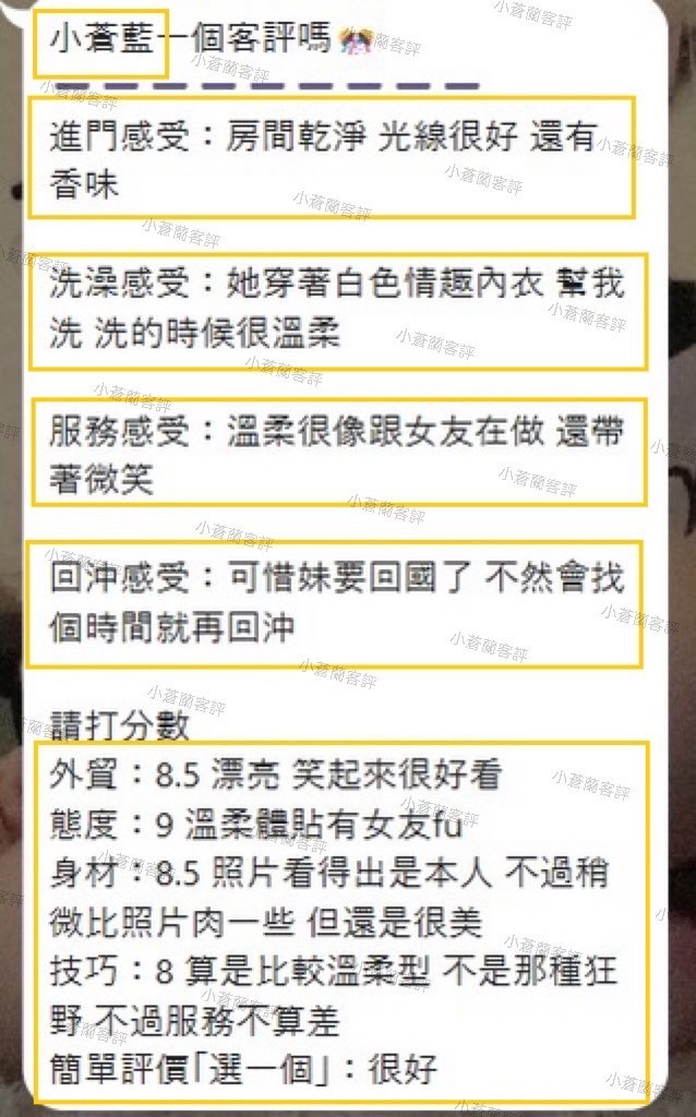 馬來西亞雲林小蒼蘭定點圖片
