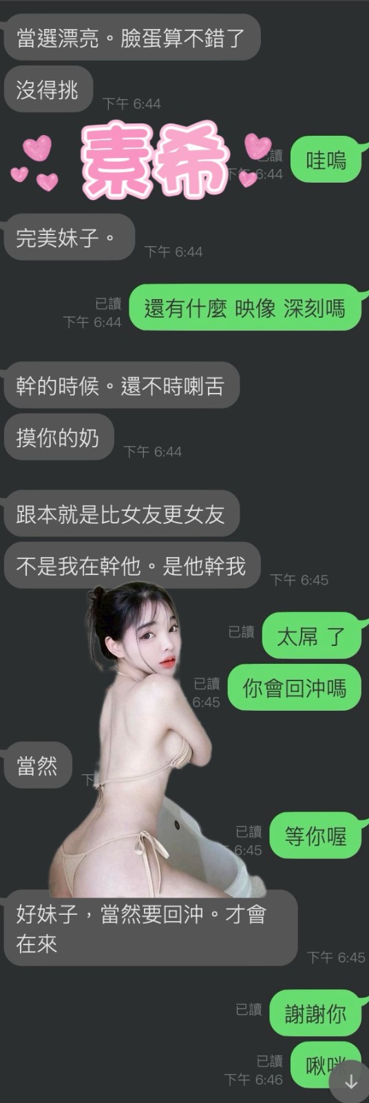 馬來西亞雲林素希定點圖片