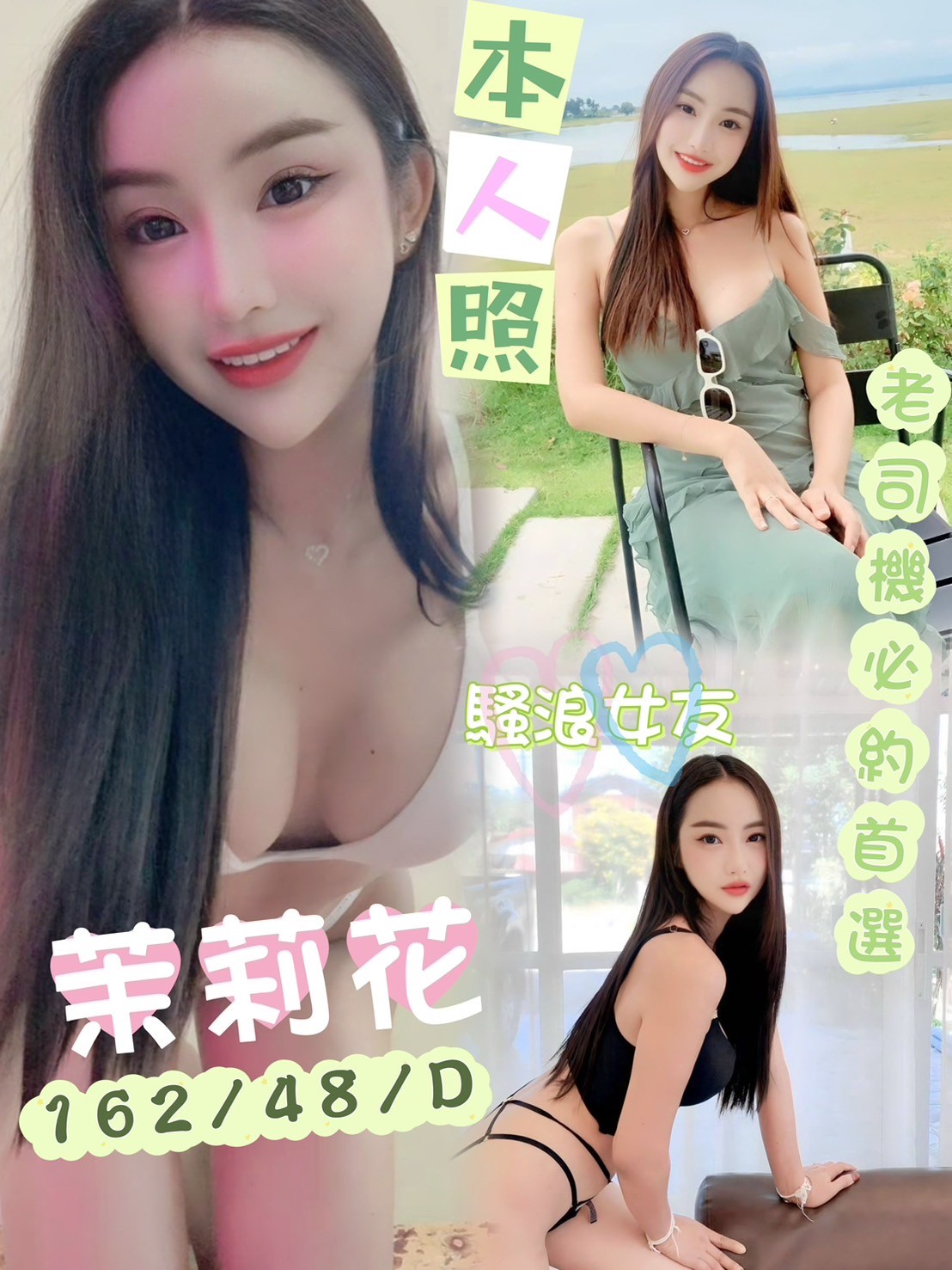 馬來西亞雲林茉莉花定點圖片