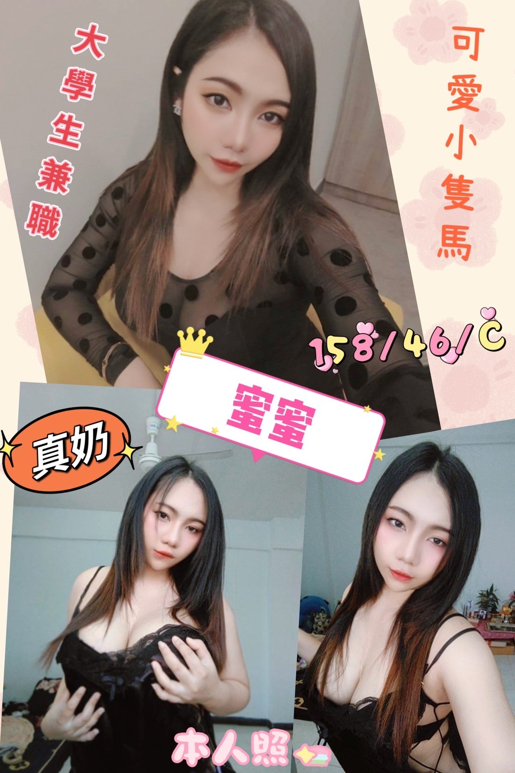 馬來西亞雲林蜜蜜定點圖片