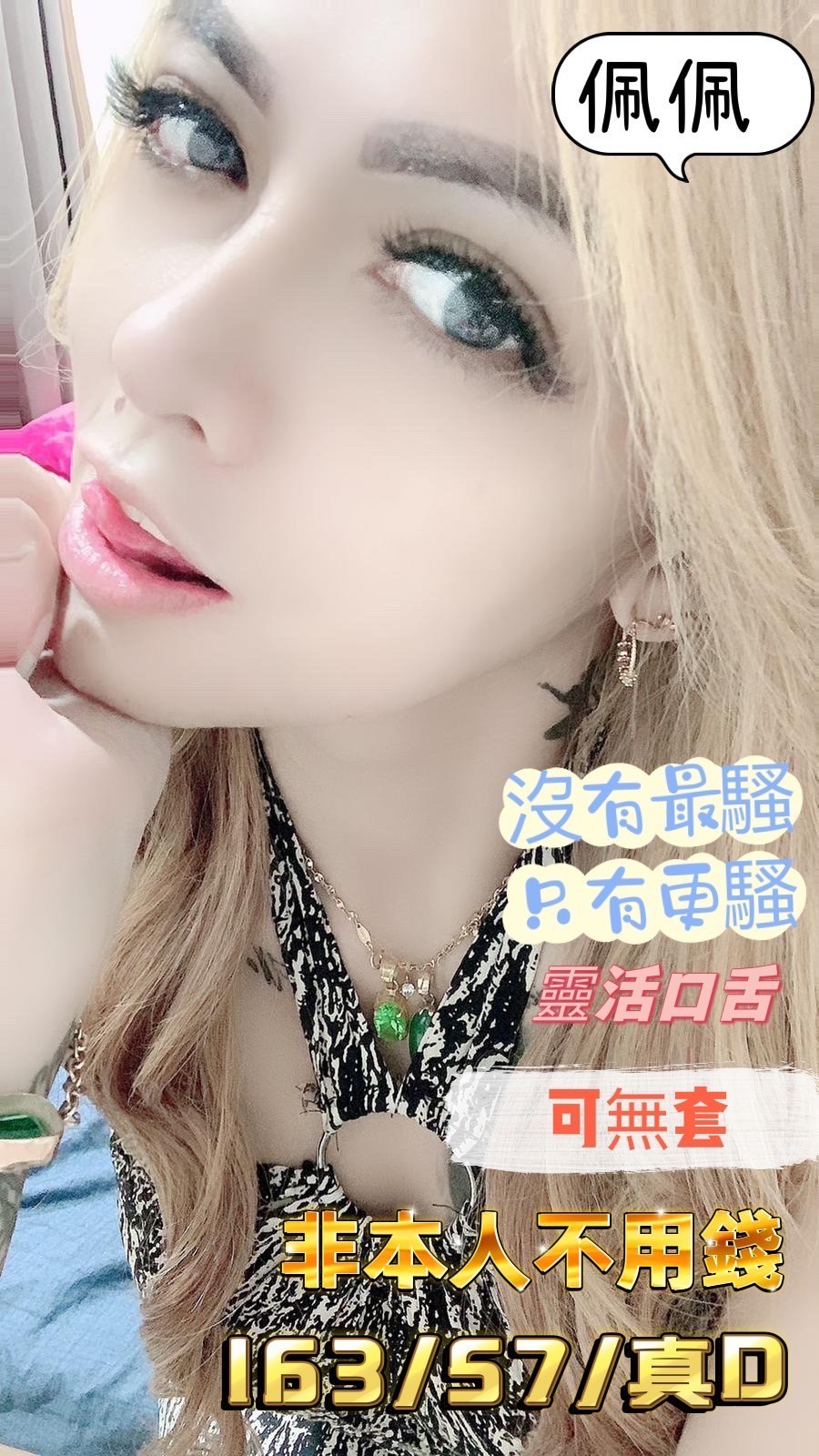 馬來西亞高雄佩佩定點圖片